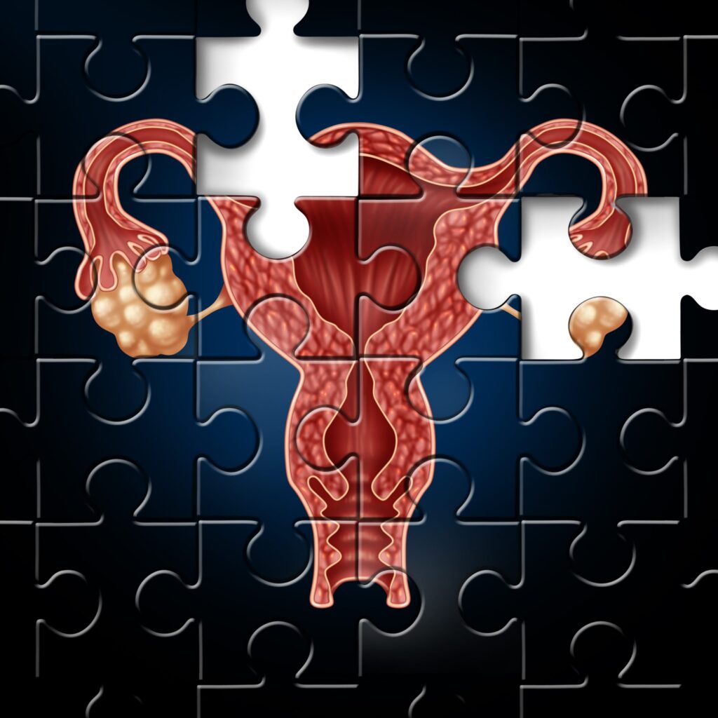 Premature Ovarian Insufficiency Ellen Dolgen Menopause Mondays Blog